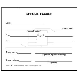 27 - Special Excuse