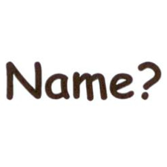 AS30 - Large Name? Stamp AS30 - Large Name? Stamp