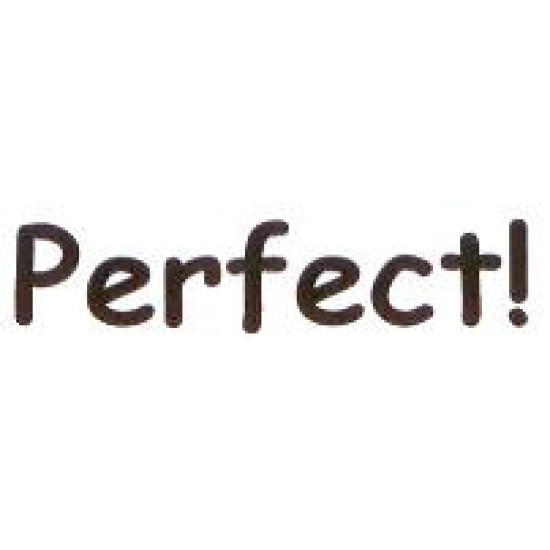 AS47 - Large Perfect! Stamp AS47 - Large Perfect! Stamp
